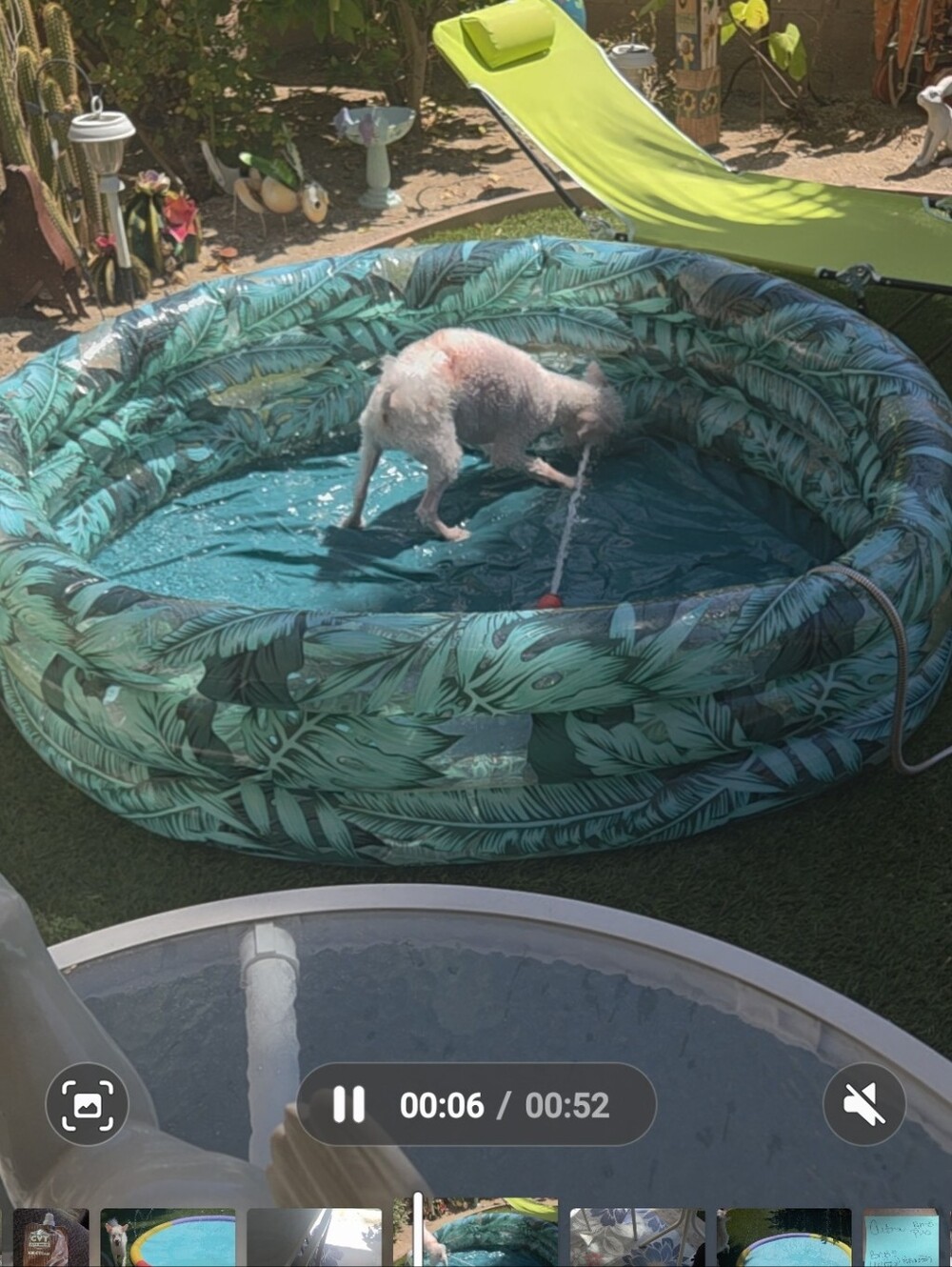Kids Pool